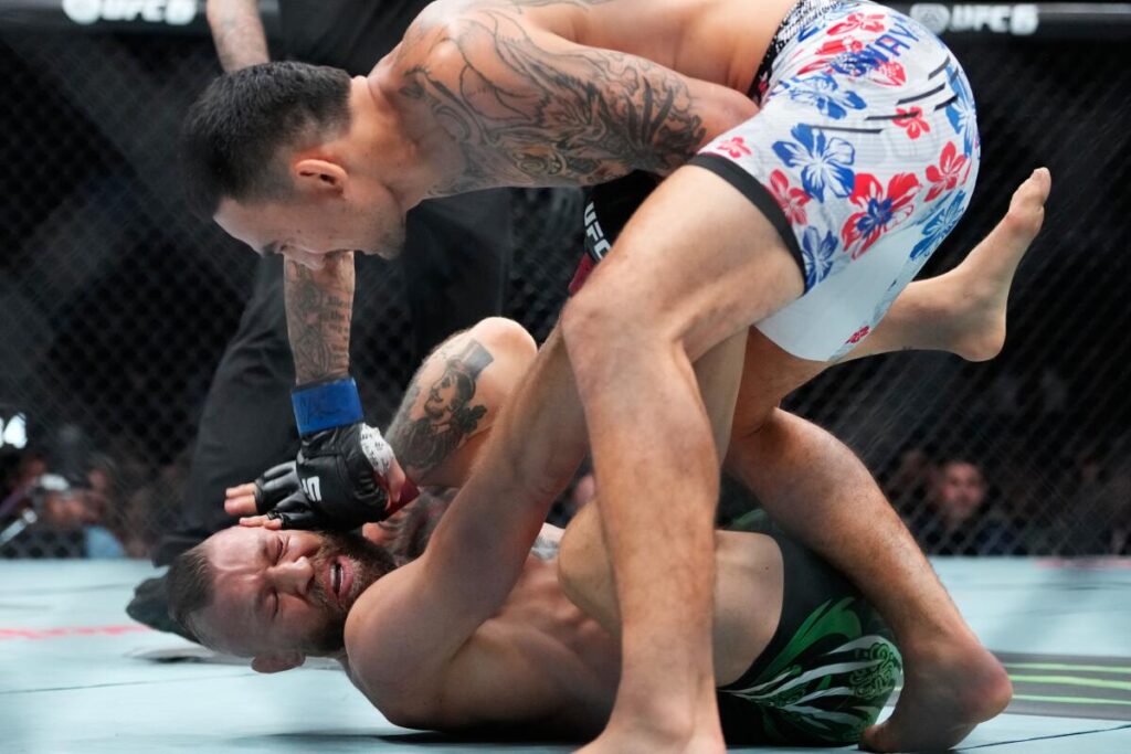 UFC 329